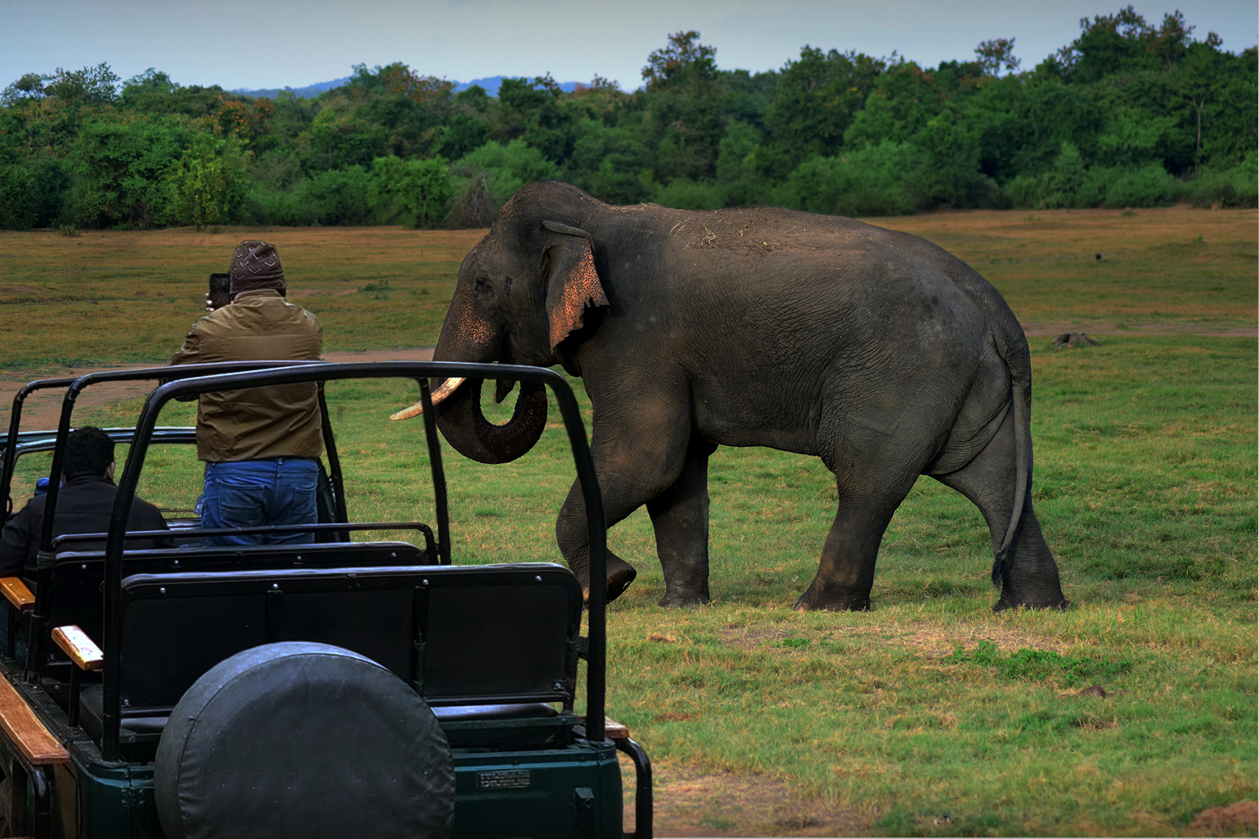 Kaziranga Jeep Safari